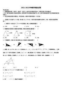 广东外语外贸大附设外语校2021-2022学年初中数学毕业考试模拟冲刺卷含解析