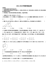 广东省湛师附中、实验学校2022年中考数学模拟精编试卷含解析