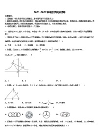 广西贺州市昭平县2021-2022学年中考数学全真模拟试题含解析