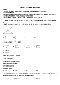 广东省深圳市龙华区2022年中考数学押题卷含解析