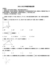 广东省深圳市外国语校2021-2022学年中考数学对点突破模拟试卷含解析