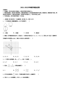 广东省深圳外国语校2021-2022学年中考数学全真模拟试卷含解析