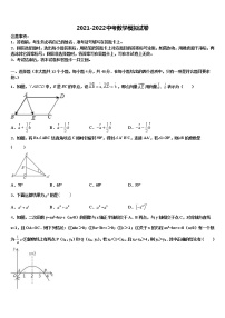 广东省韶关市乳源县2021-2022学年中考数学适应性模拟试题含解析