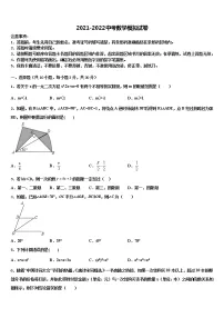 广东省汕头市潮阳区铜盂中学2022年中考数学最后冲刺模拟试卷含解析