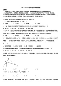 广东省黄埔区广附2022年中考数学考试模拟冲刺卷含解析