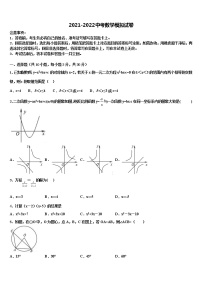 广东省华师附中2022年中考数学全真模拟试题含解析