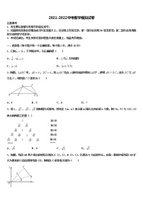 甘肃省白银市靖远县重点中学2021-2022学年中考数学仿真试卷含解析