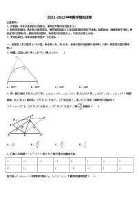 福建省漳州市重点名校2021-2022学年中考数学全真模拟试题含解析