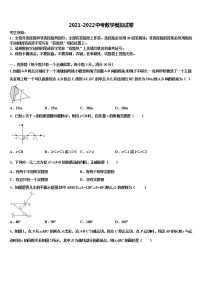 甘肃省酒泉市市级名校2021-2022学年中考数学考试模拟冲刺卷含解析