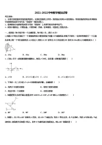 甘肃省酒泉市市级名校2021-2022学年中考数学考试模拟冲刺卷含解析