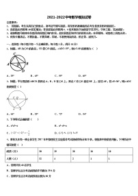 福建省厦门五中学2022年中考数学对点突破模拟试卷含解析