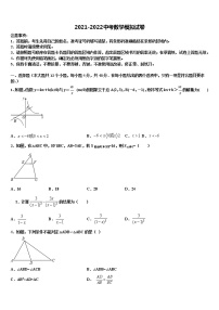 福建省厦门市思明区双十中学2022年中考联考数学试卷含解析