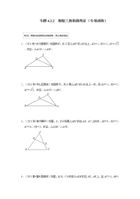 专题4.2.2 相似三角形的判定（专项训练）-2022-2023学年九年级数学上册《 考点解读•专题训练》（北师大版）