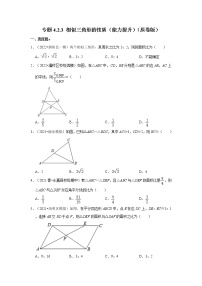 专题4.2.3 相似三角形的性质（能力提升）-2022-2023学年九年级数学上册《考点解读•专题训练》（北师大版）