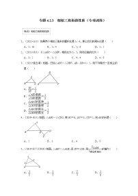 专题4.2.3 相似三角形的性质（专项训练）-2022-2023学年九年级数学上册《 考点解读•专题训练》（北师大版）