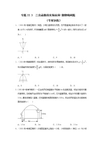 专题22.3  二次函数的实际应用-抛物线问题（专题训练）-2022-2023学年九年级数学上册《 考点解读•专题训练》（人教版）