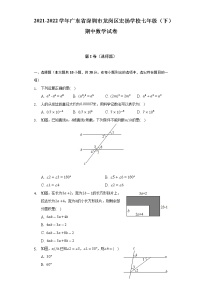 2021-2022学年广东省深圳市龙岗区宏扬学校七年级（下）期中数学试卷（含解析）