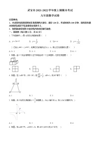 河南省三门峡市灵宝市2021-2022学年九年级上学期期末数学试题(含答案)