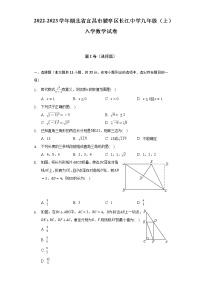 2022-2023学年湖北省宜昌市猇亭区长江中学九年级（上）入学数学试卷（含解析）