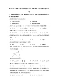 山东省济南市章丘区2021-2022学年九年级上学期期中数学试卷 (含答案)