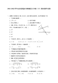 2021-2022学年山东省临沂市郯城县七年级（下）期末数学试卷（含解析）