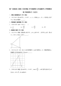 第7章锐角三角形-【苏科版-中考真题】九年级数学上学期期末复习培优练习（江苏）