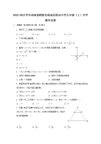 2022-2023学年河南省鹤壁市淇滨区致远中学九年级（上）开学数学试卷（含解析）