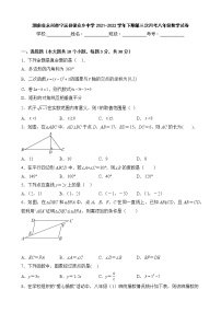 湖南省永州市宁远县保安乡中学2021-2022学年下期第三次月考八年级数学试卷