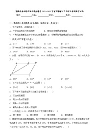 湖南省永州市宁远县李郃中学2021-2022学年下期第三次月考八年级数学试卷