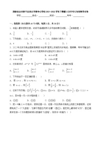 湖南省永州市宁远县太平镇中心学校2021-2022学年下期第三次月考七年级数学试卷