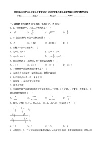 湖南省永州市宁远县保安乡中学2021-2022学年九年级上学期第三次月考数学试卷