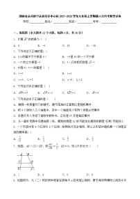 湖南省永州市宁远县禾亭中心校2021-2022学年九年级上学期第三次月考数学试卷