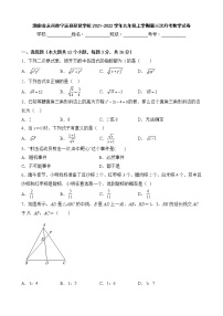 湖南省永州市宁远县琵琶学校2021-2022学年九年级上学期第三次月考数学试卷