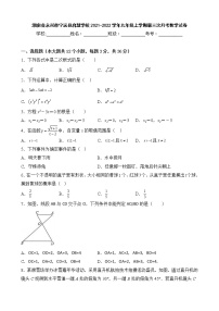 湖南省永州市宁远县启慧学校2021-2022学年九年级上学期第三次月考数学试卷