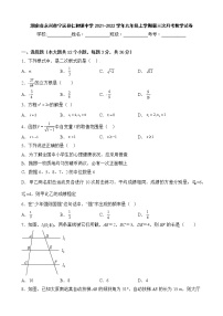 湖南省永州市宁远县仁和镇中学2021-2022学年九年级上学期第三次月考数学试卷