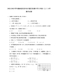 2022-2023学年湖南省长沙市开福区长雅中学八年级（上）入学数学试卷（含解析）