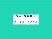 北师大版4 分式方程习题ppt课件