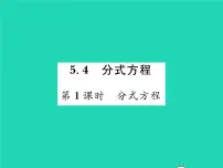 北师大版4 分式方程习题ppt课件
