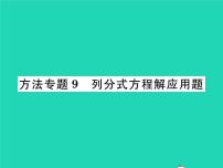 初中数学北师大版八年级下册4 分式方程习题ppt课件