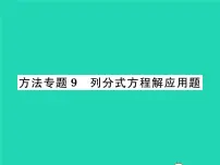 初中数学北师大版八年级下册4 分式方程习题ppt课件