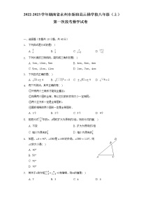 湖南省永州市新田县云梯学校2022-2023学年上学期八年级第一次段考数学试卷（含答案）