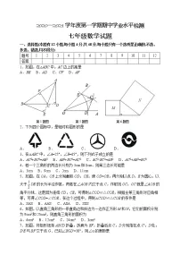 山东省淄博市高青县(五四制)2020-2021学年七年级上学期期中考试数学试题