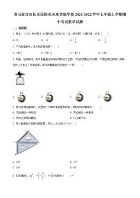 河北省石家庄市长安区阳光未来实验学校2021-2022学年七年级上学期期中考试数学试题