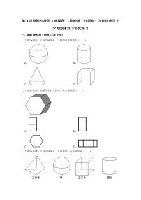 第4章投影与视图（选择题）-鲁教版（五四制）九年级数学上学期期末复习培优练习