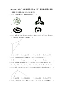 2022-2023学年广东省潮州市八年级（上）期中数学模拟试卷