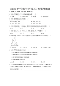 2022-2023学年广东省广州市八年级(上)期中数学模拟试卷