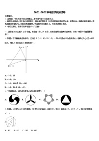 海南海口市琼山区国兴中学2021-2022学年毕业升学考试模拟卷数学卷含解析