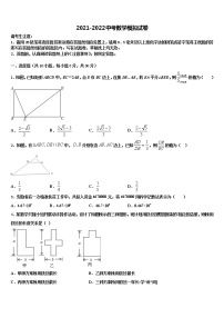 邗江实验重点名校2021-2022学年中考数学模拟精编试卷含解析