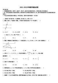 河北省丰润区重点名校2021-2022学年中考数学最后冲刺模拟试卷含解析