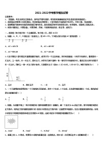 河北省衡水市名校2021-2022学年中考数学考前最后一卷含解析